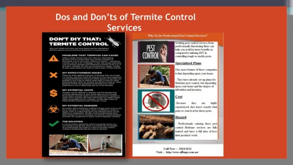 Dos and Don’ts of Termite Control Services