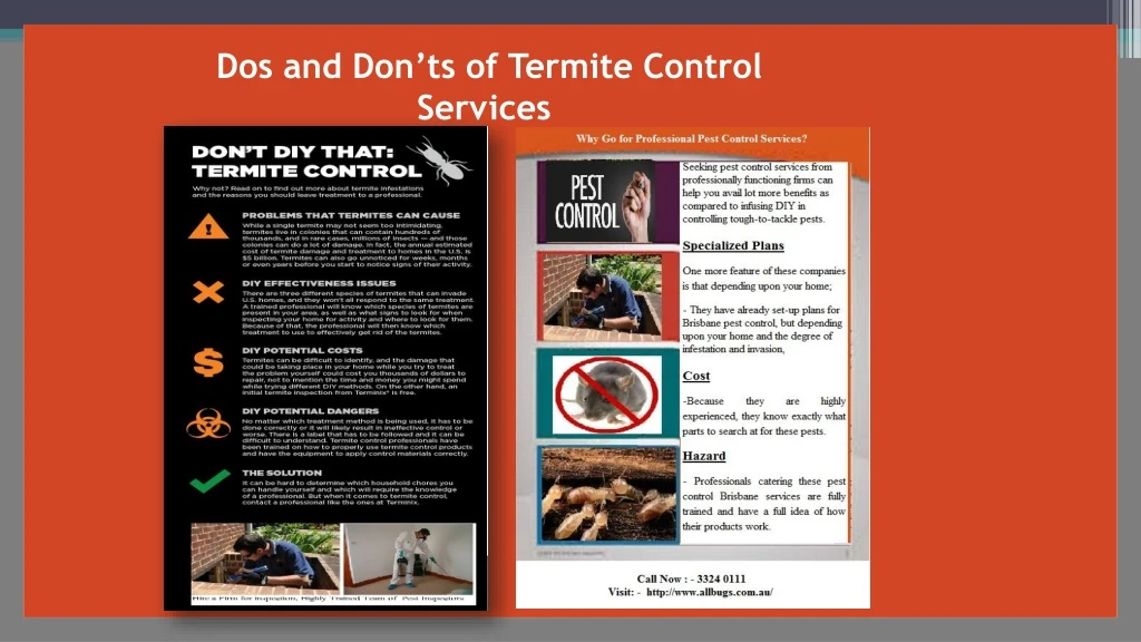 dos and don ts of termite control services