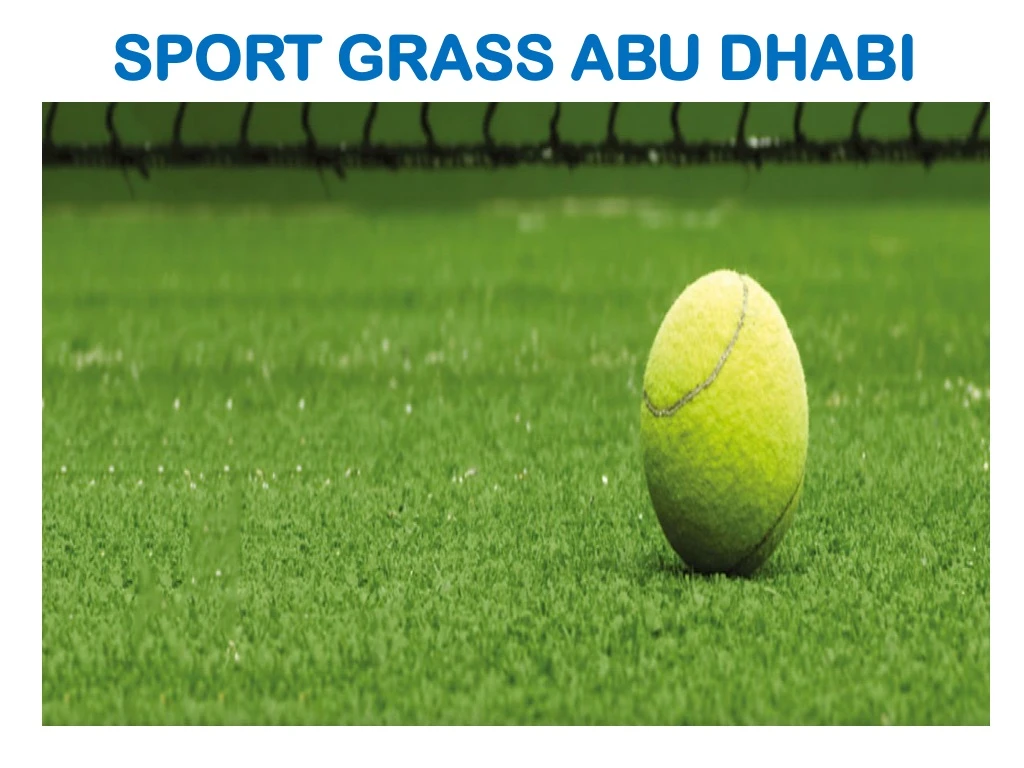 sport grass abu dhabi