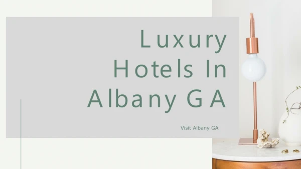 Top-Rated Hotels In Albany GA