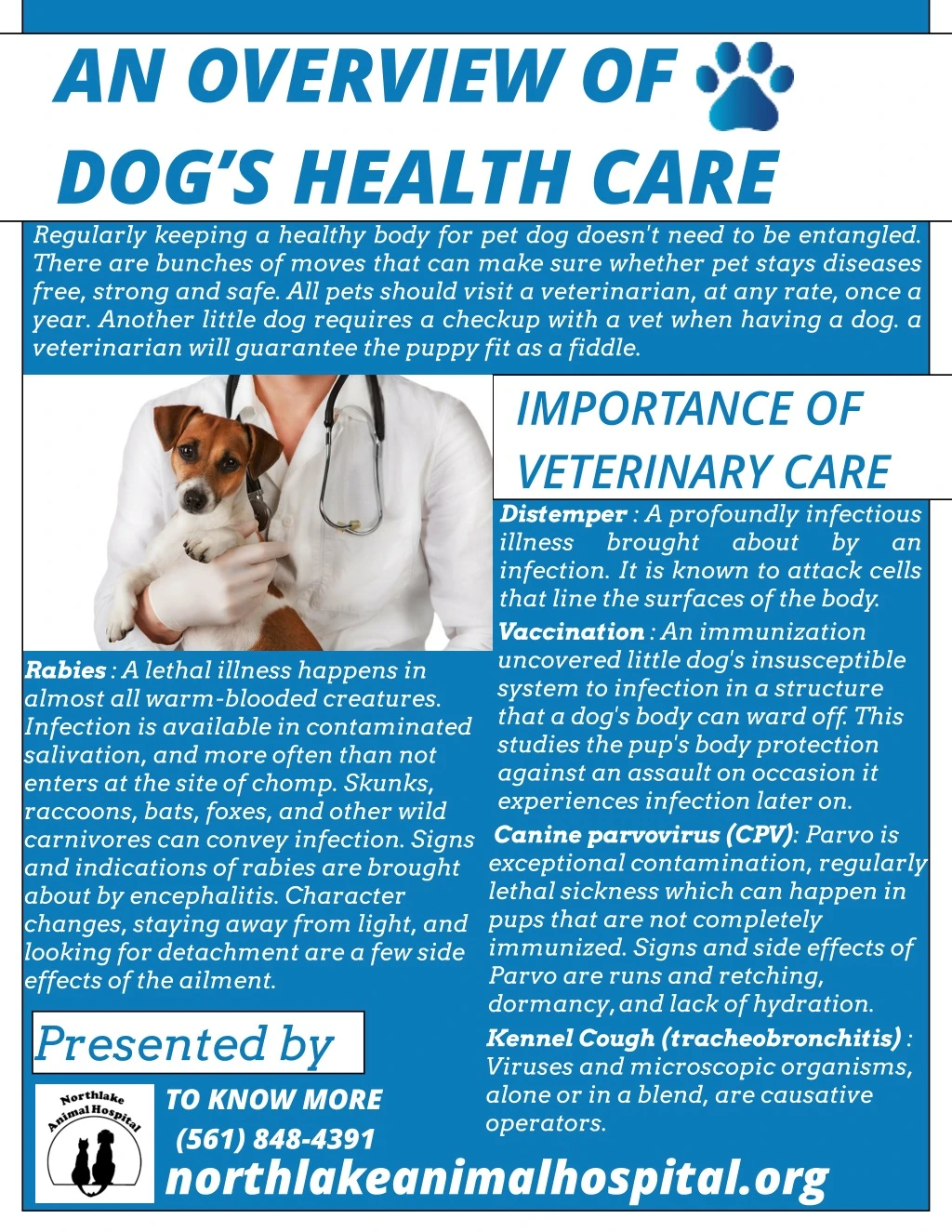 an overview of dog s health care regularly