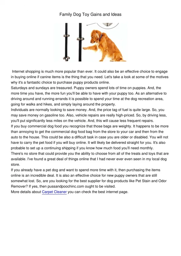 family dog toy gains and ideas