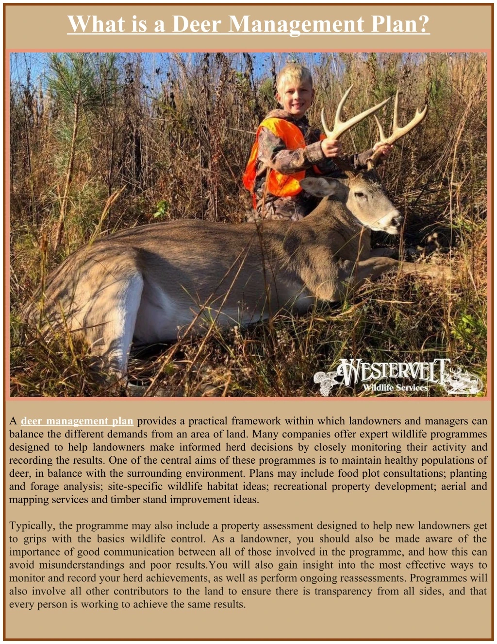 what is a deer management plan