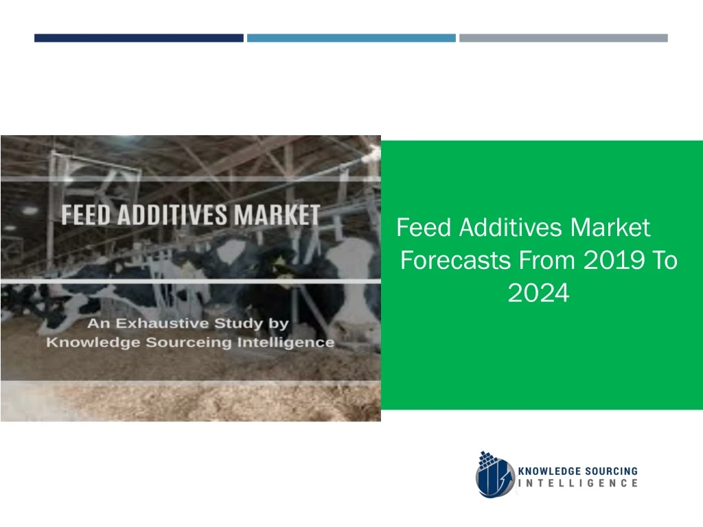 feed additives market forecasts from 2019 to 2024