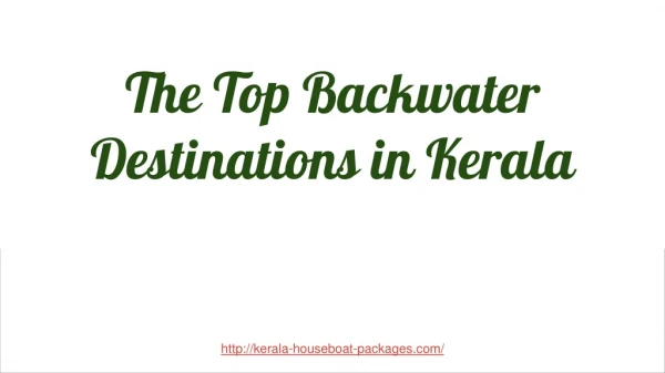 The Top Backwater Destinations in Kerala