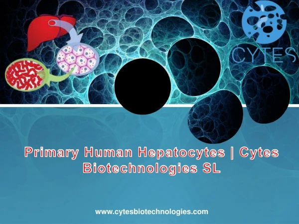 Human hepatocytes | Cytes Biotechnologies