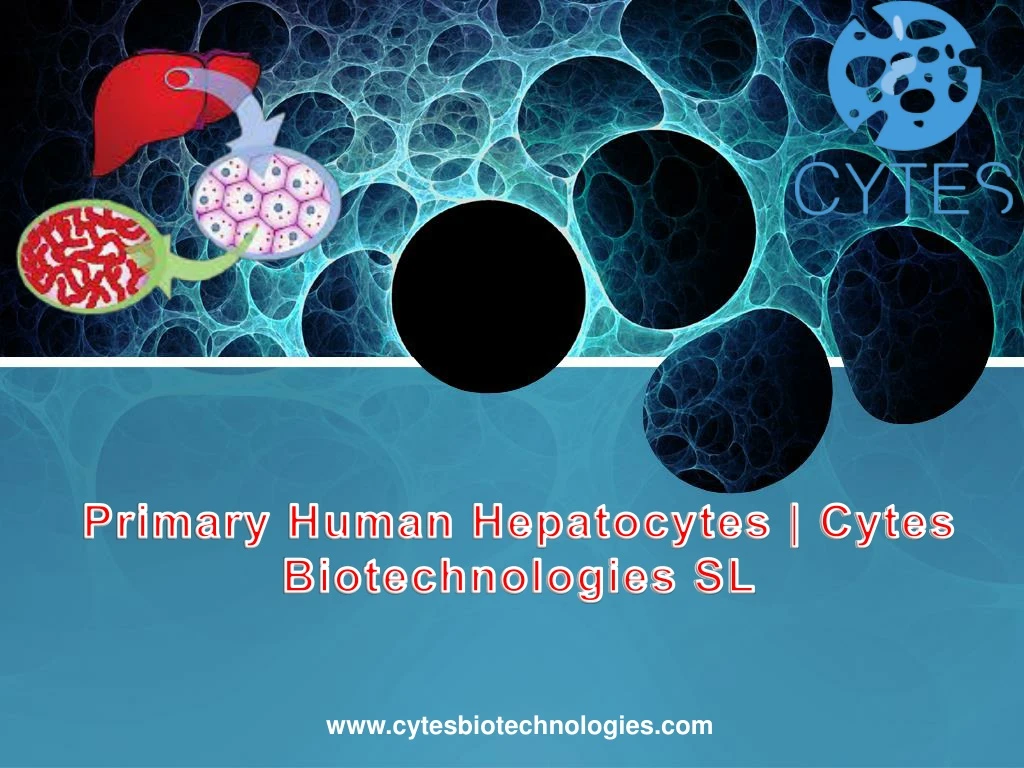 primary human hepatocytes cytes biotechnologies sl