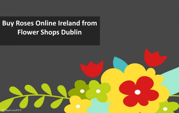 Buy Roses Online Ireland from Flower Shops Dublin