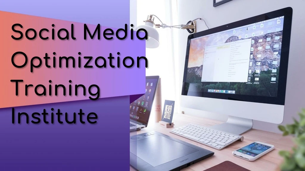 social media optimization training institute