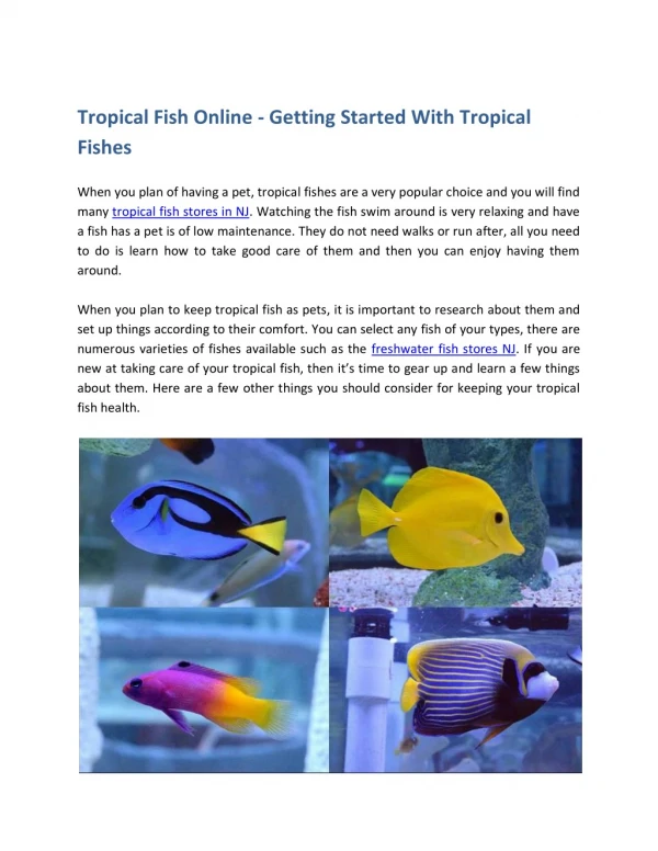 Tropical Fish Online - Getting Started With Tropical Fishes