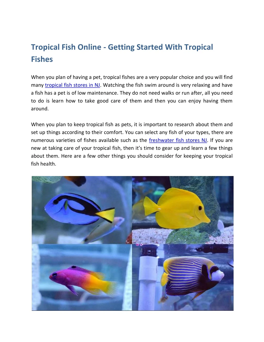 tropical fish online getting started with