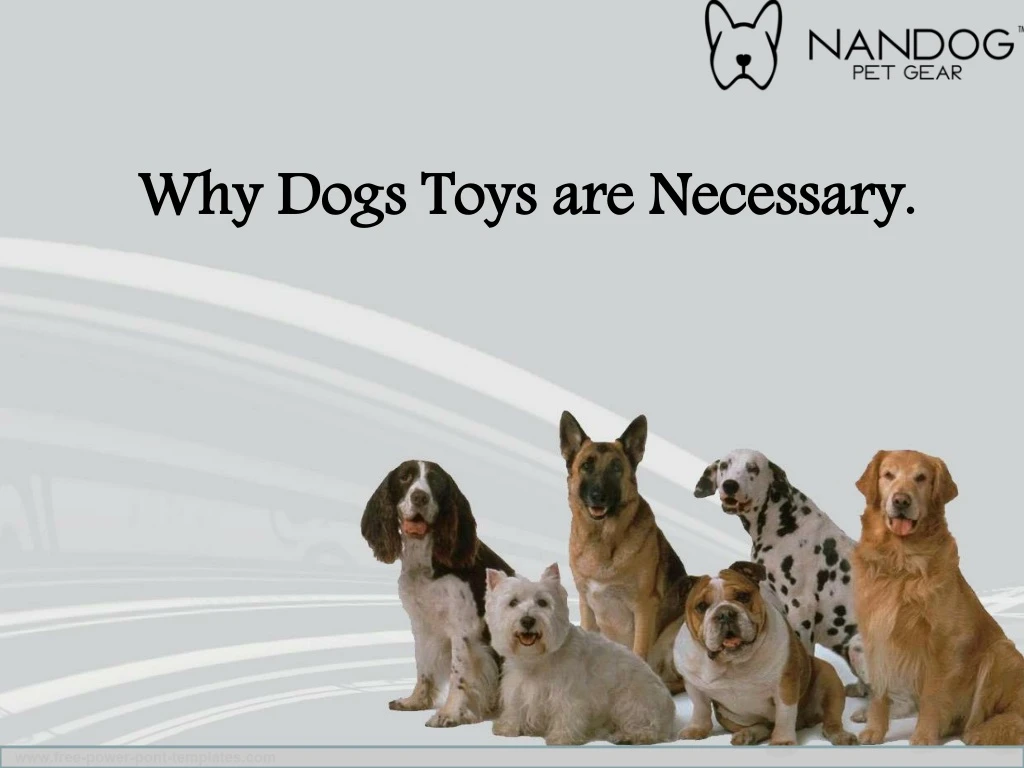 why dogs toys are necessary