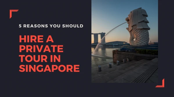 5 Reasons You Should Hire A Private Tour in Singapore