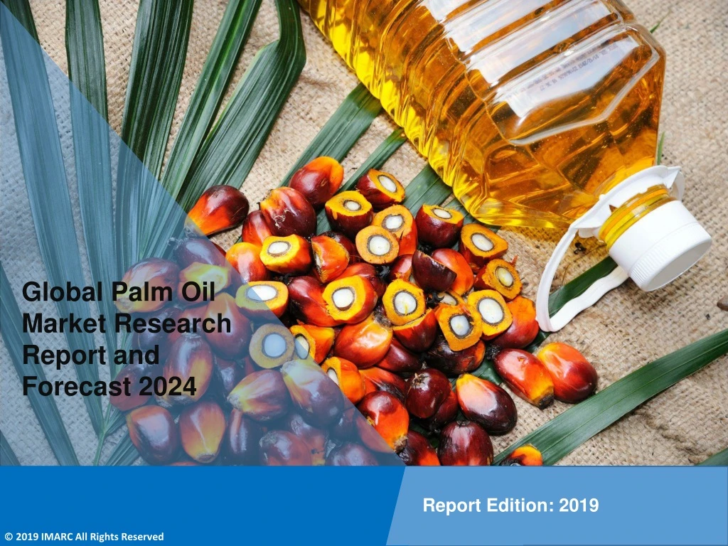 global palm oil market research report