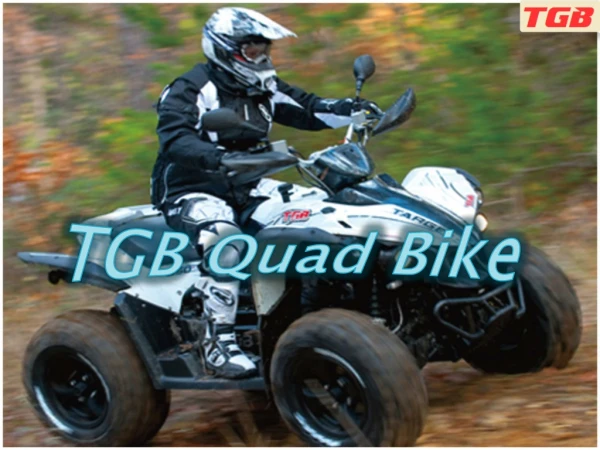 What to Know About ATV Quad Bike for Sale?