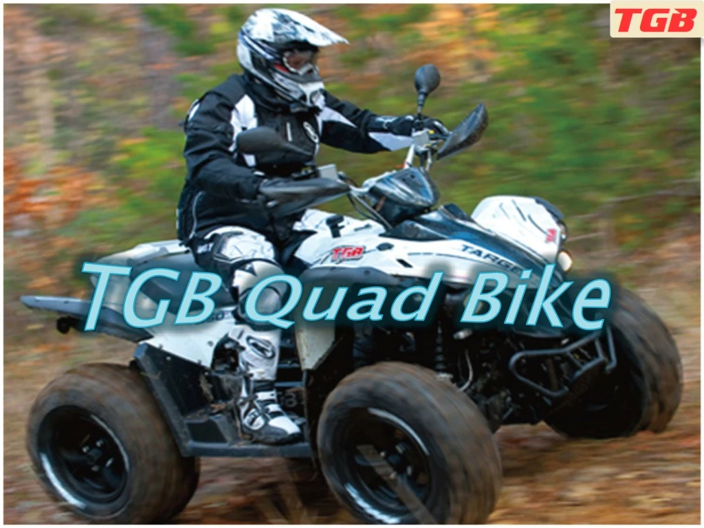 tgb quad bike