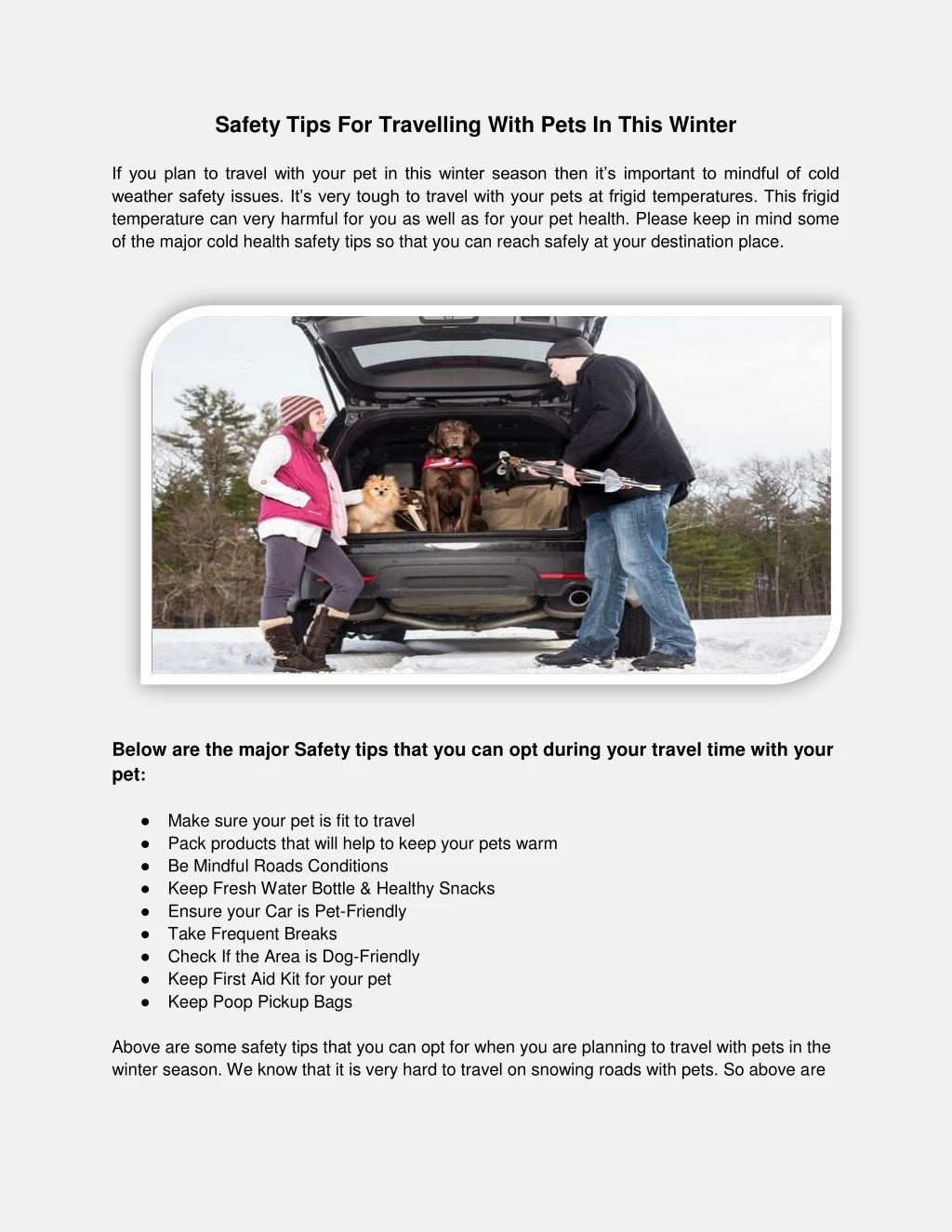 safety tips for travelling with pets in this