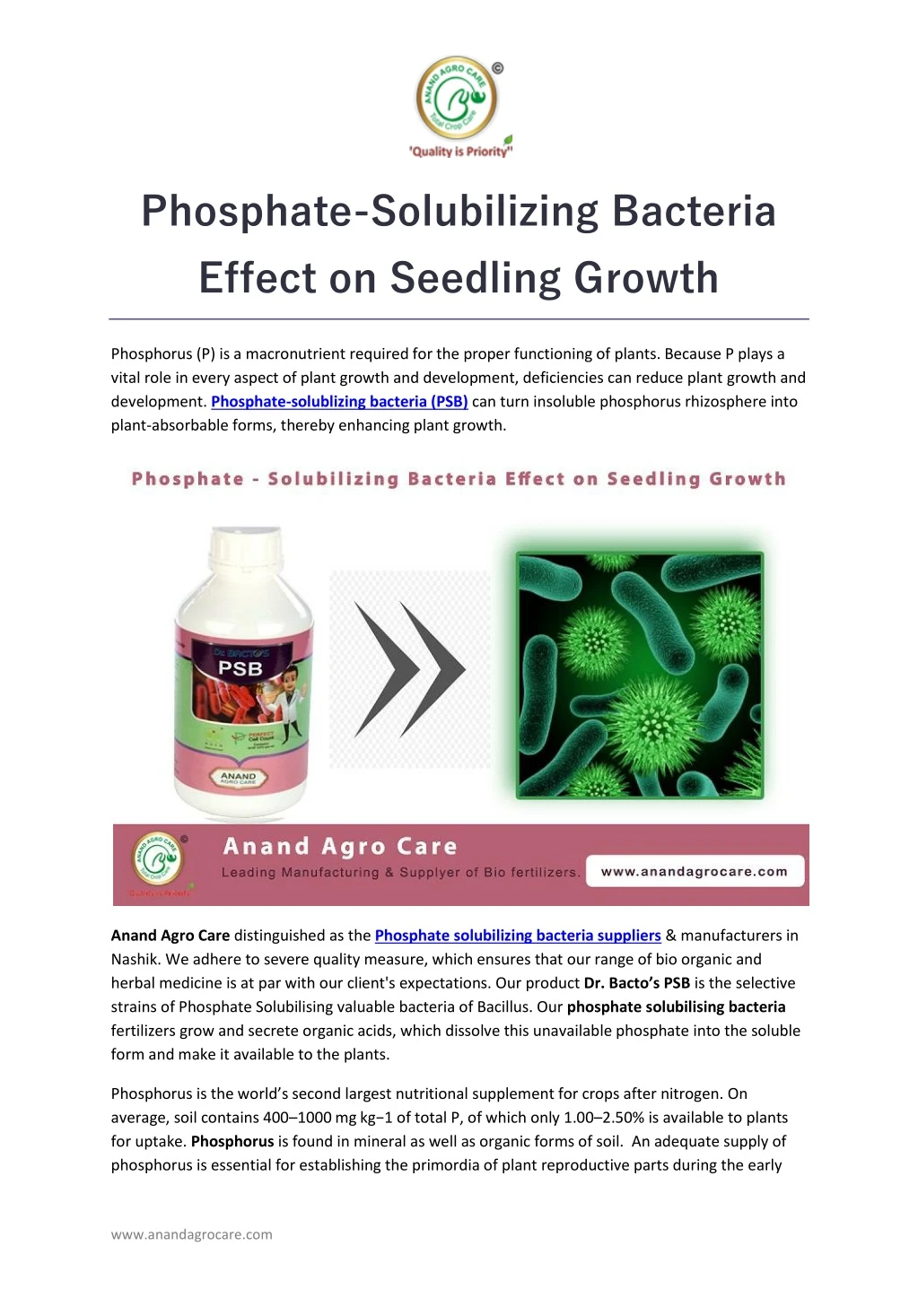 phosphate solubilizing bacteria