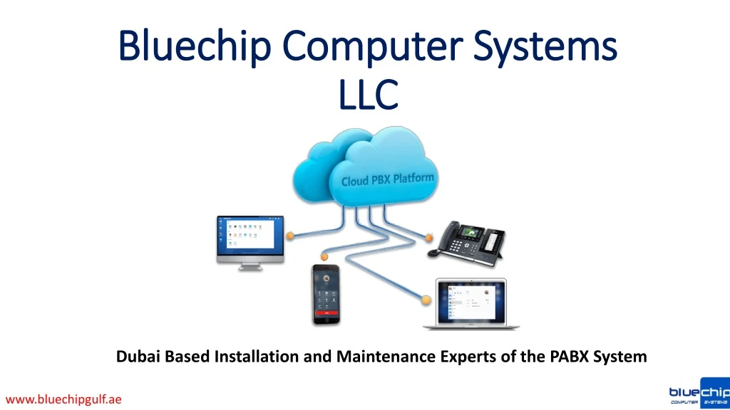 bluechip computer systems llc