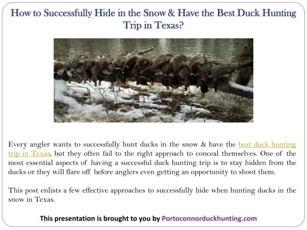 how to successfully hide in the snow have
