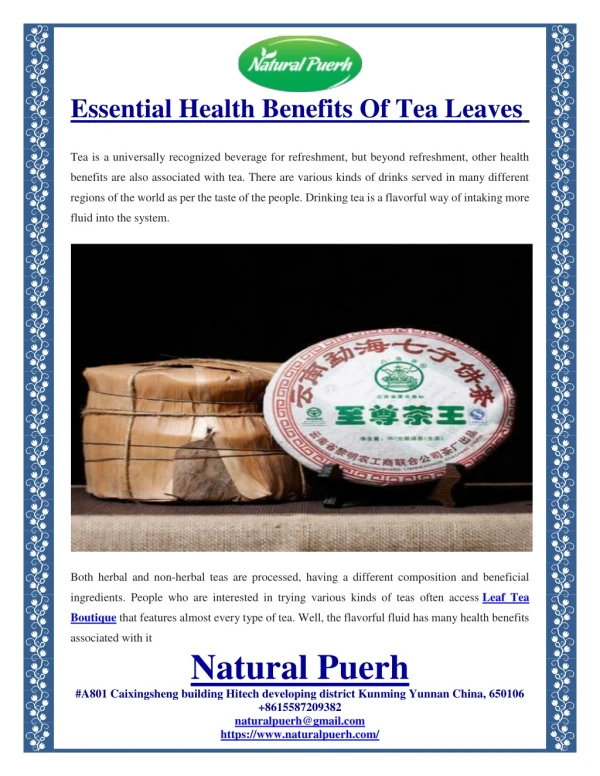 Essential Health Benefits Of Tea Leaves