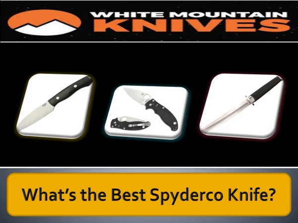 What’s the Best Spyderco Knife?