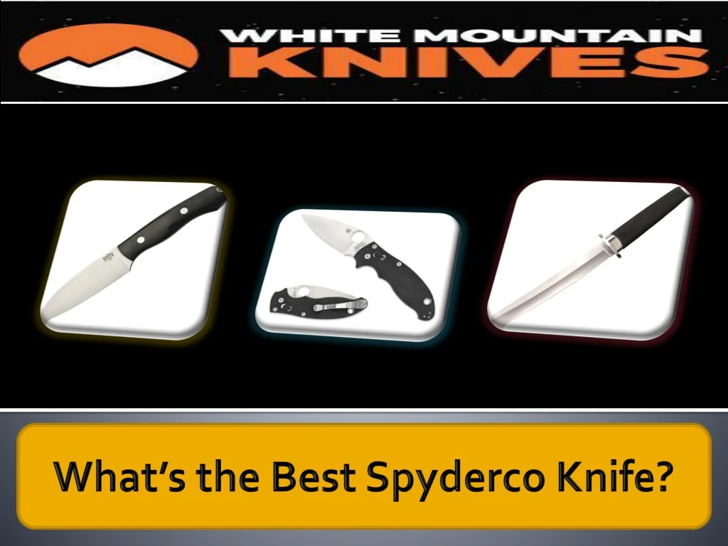 what s the best spyderco knife