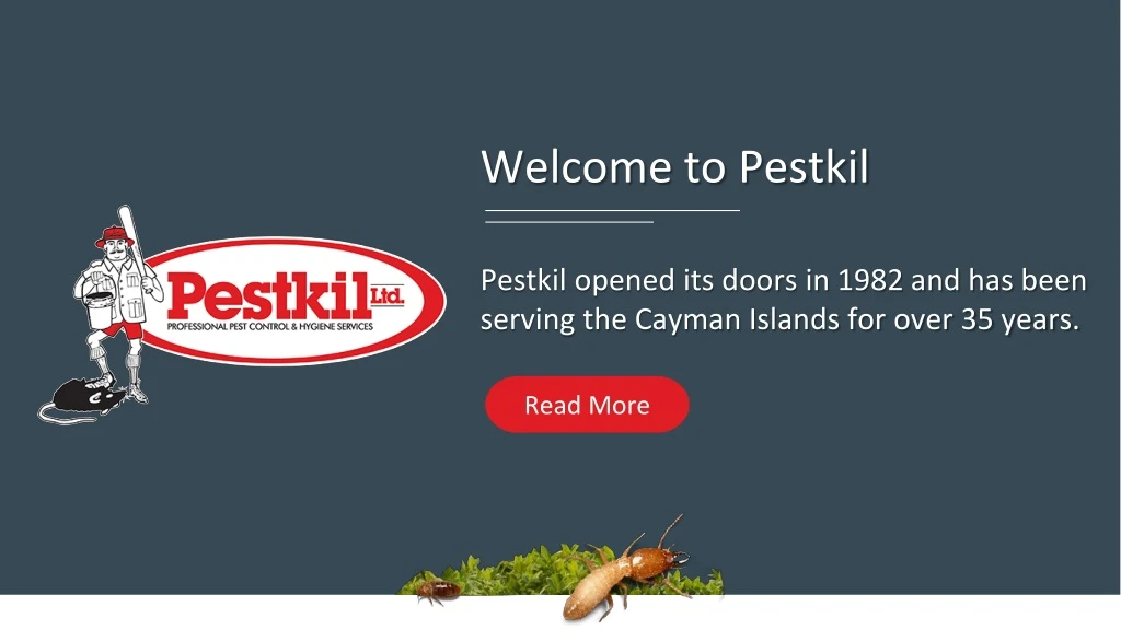 welcome to pestkil