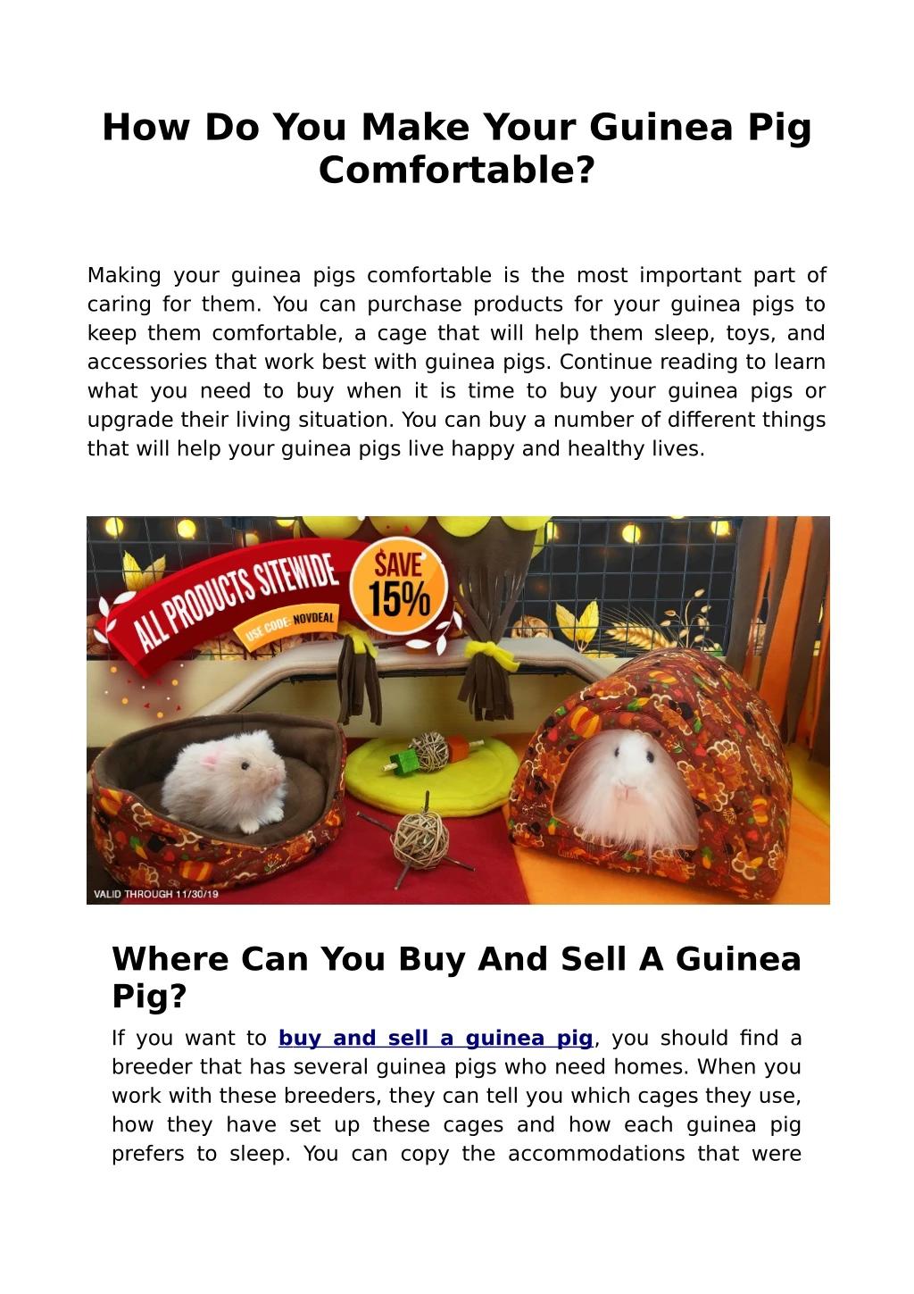 how do you make your guinea pig comfortable