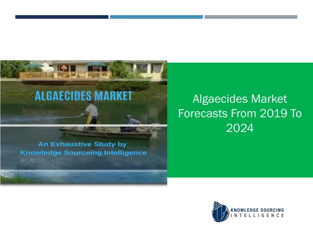 algaecides market forecasts from 2019 to 2024