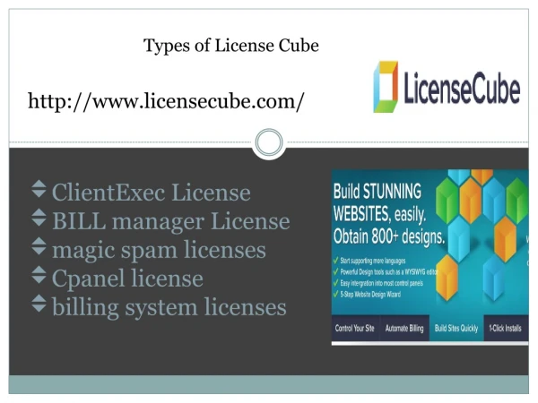 Types of License Cube