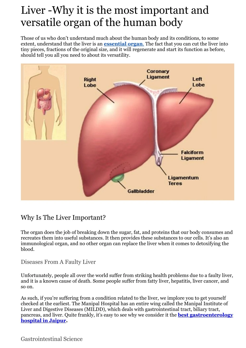 liver why it is the most important and versatile