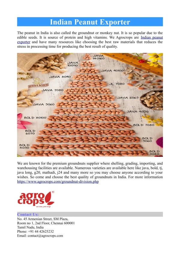 indian peanut exporter