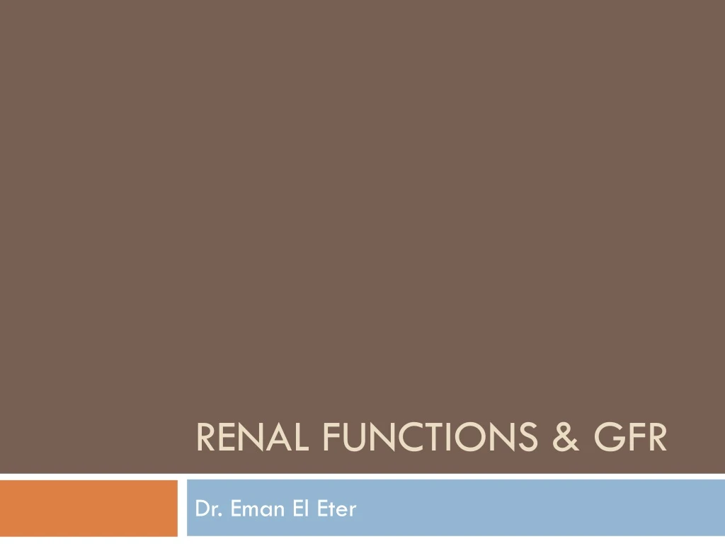renal functions gfr