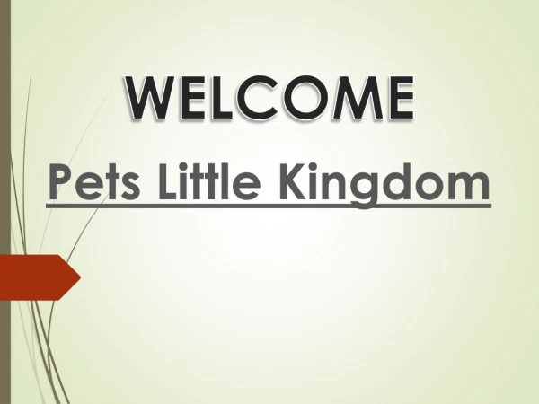 welcome