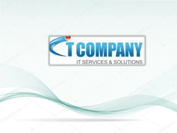 IT Company