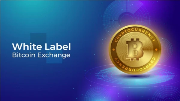 Setup your trading platform with white label bitcoin exchange software