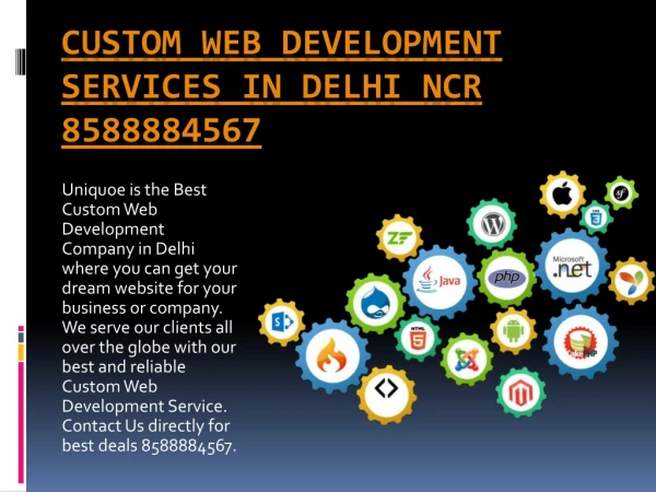 Custom Web Development In Delhi NCR 8588884567