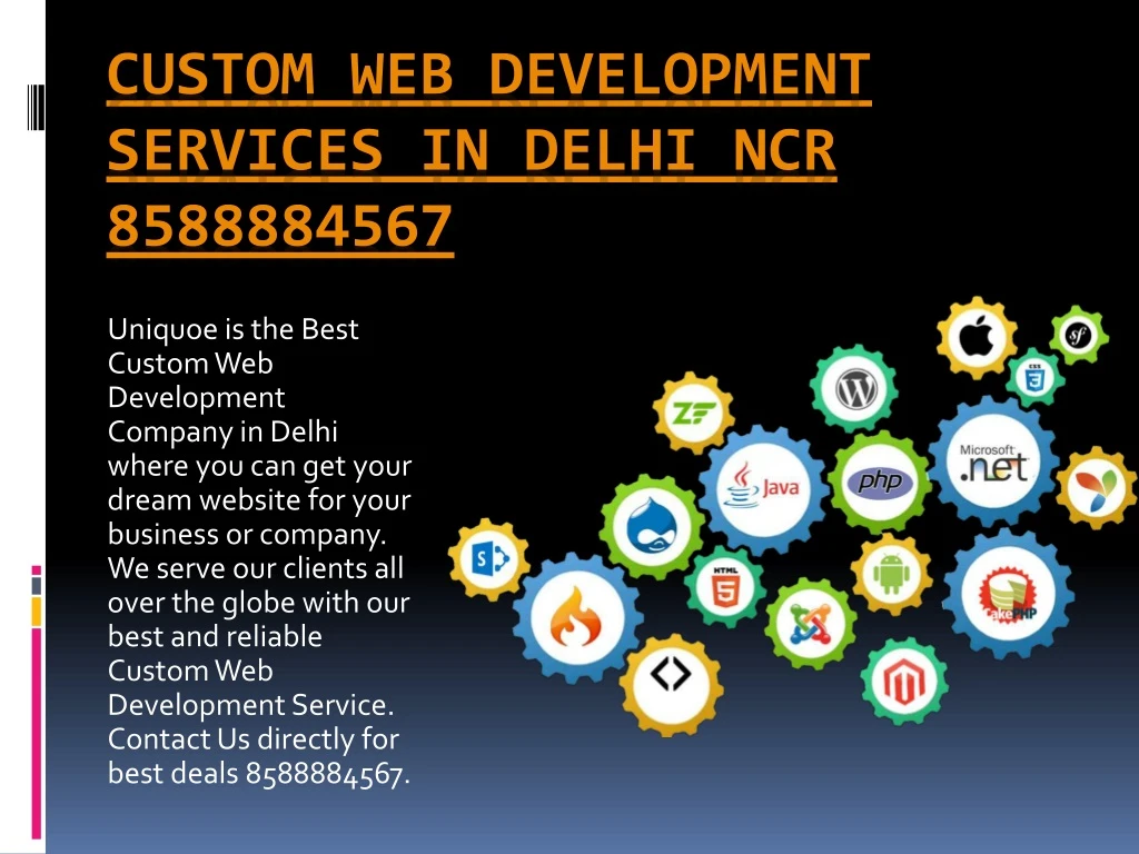 custom web development services in delhi ncr 8588884567