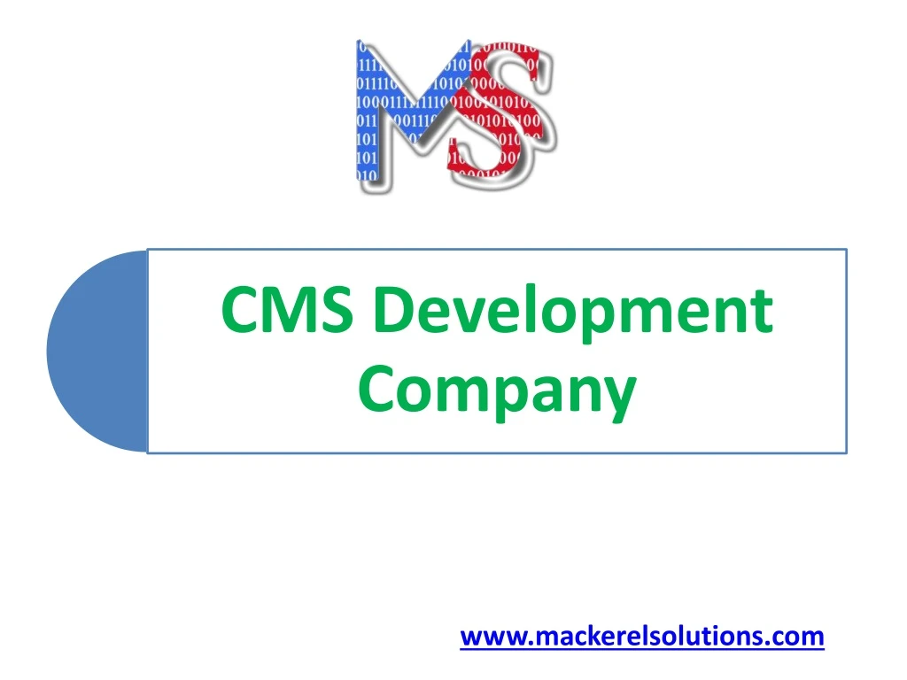 cms development company