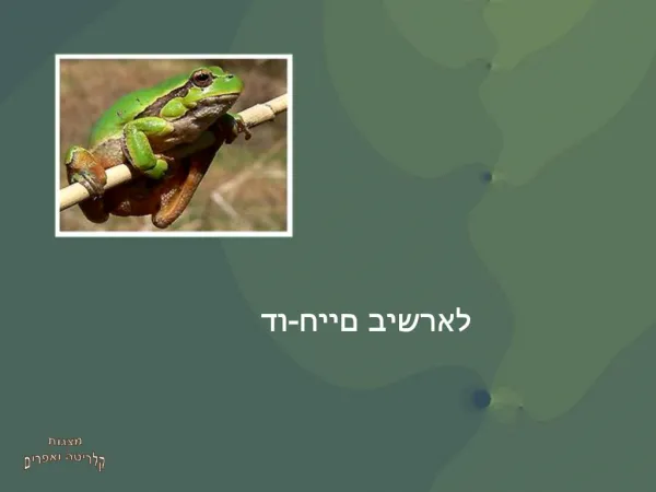 slide1