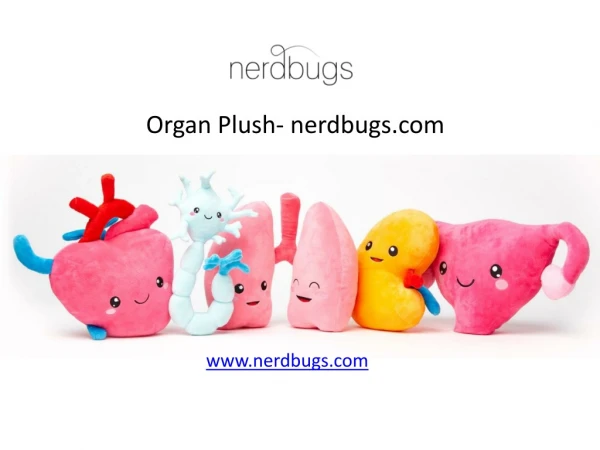 Organ Plush- nerdbugs.com