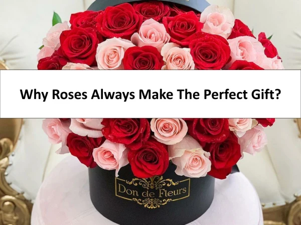 Why Roses Always Make The Perfect Gift?