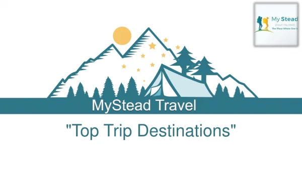 Get Masai Mara Trip Packages- MyStead Travel