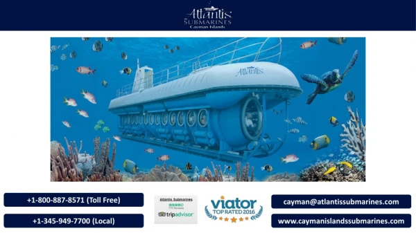 Ride in a submarine post-sunset and experience the marvels of nature
