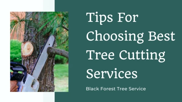 Tips For Choosing Best Tree Cutting Services