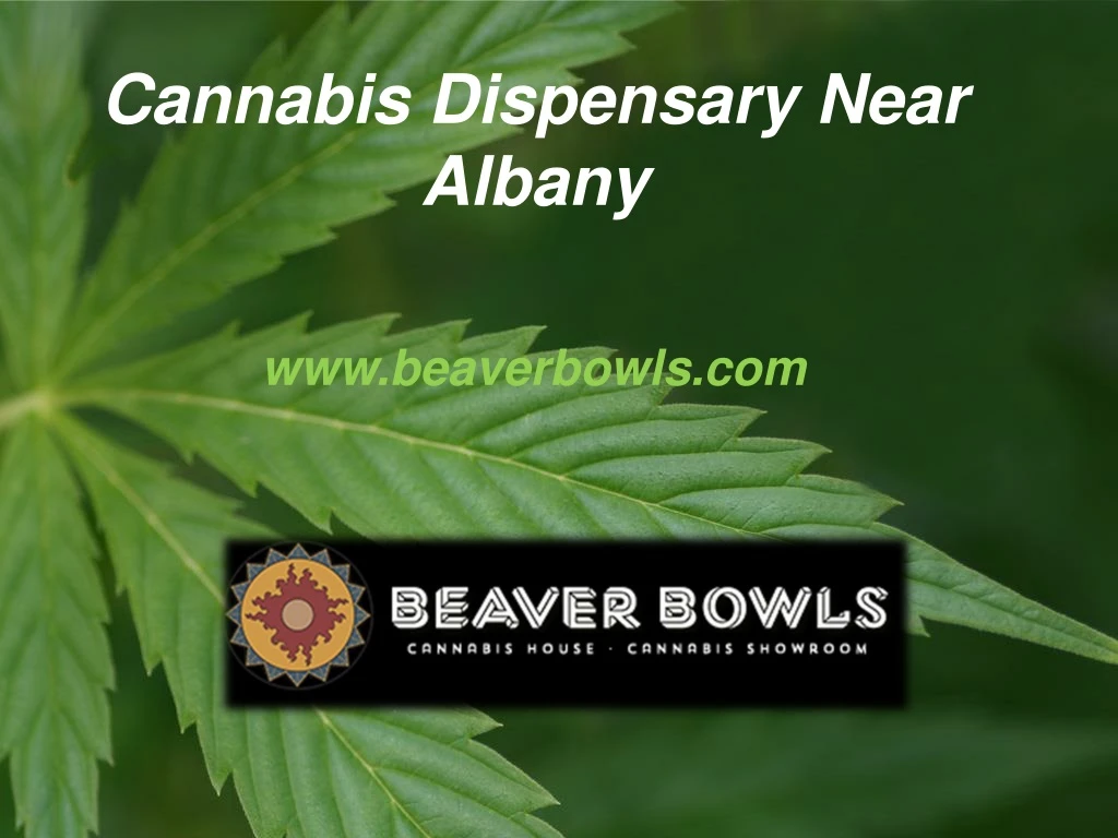 cannabis dispensary near albany