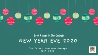 Jim Corbett New Year Party 2019-2020