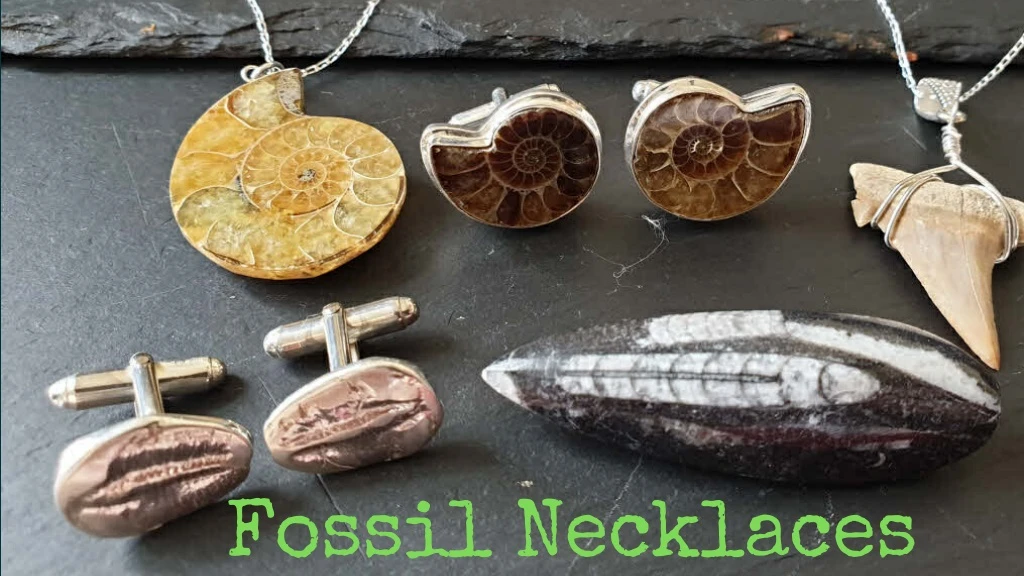 fossil necklaces
