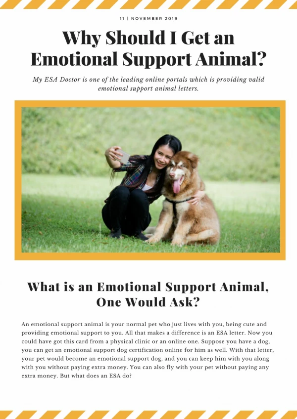 Why Should I Get an Emotional Support Animal?
